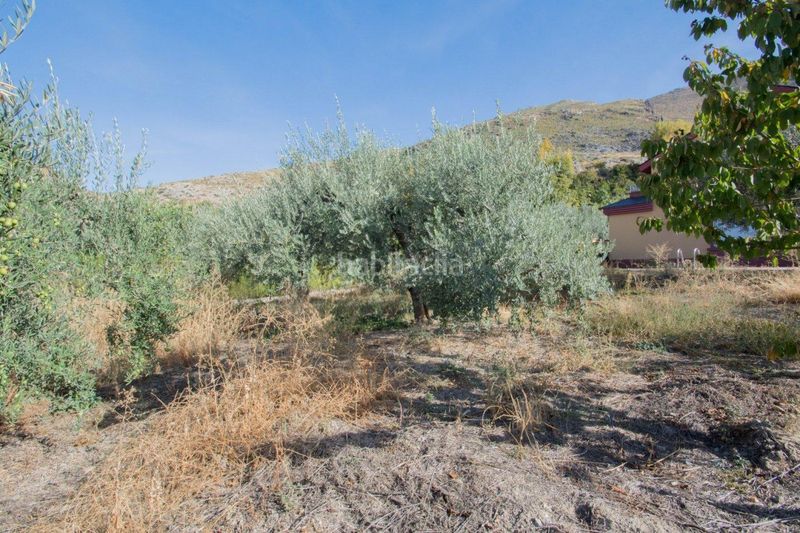 Foto 0530d199-f194-45c8-ae41-58ba36f53d46. Xalet amb aparcament piscina a Güéjar Sierra