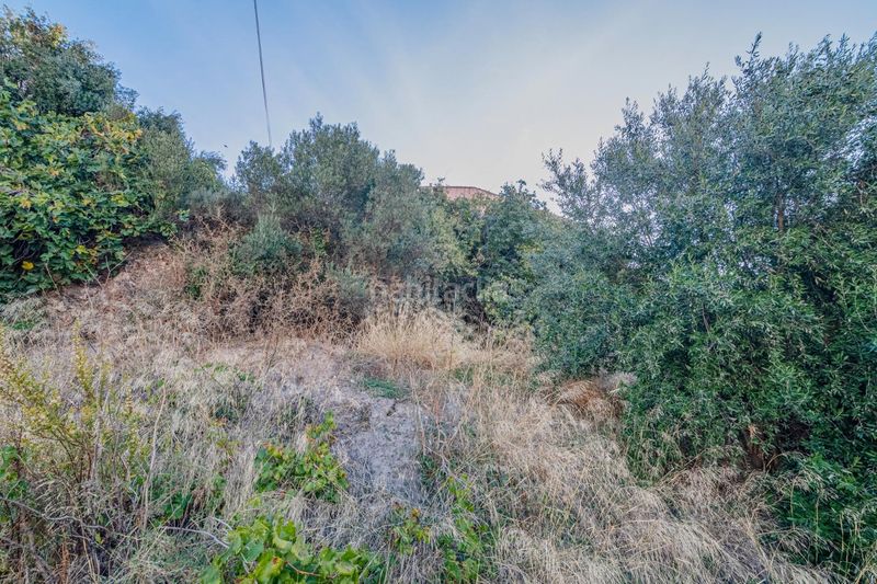 Foto 9d1af721-70c5-4cb0-8e22-21c361750ed7. Terreny residencial a calle calle parradas a Vélez de Benaudalla