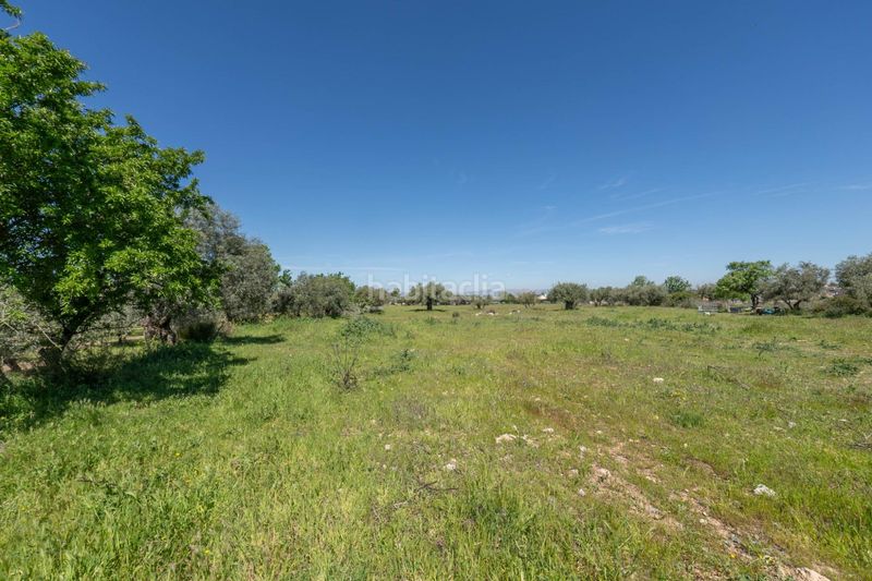Foto 3ad3f91a-5a57-4642-aeef-653b83d25952. Finca rústica a Villa de Otura