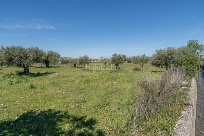 Foto 4859c519-228d-49b7-aa4c-d97dfa78ead6. Finca rústica a Villa de Otura