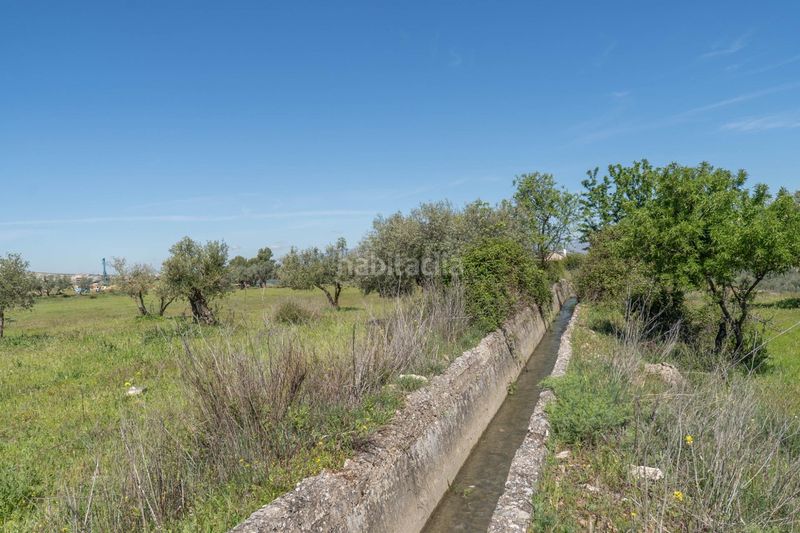 Foto 48859b65-ca14-4d03-a1a2-123957383cc5. Finca rústica a Villa de Otura