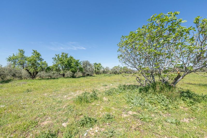 Foto 6728012a-7675-4c2b-8037-d5d5e5528ea3. Finca rústica a Villa de Otura