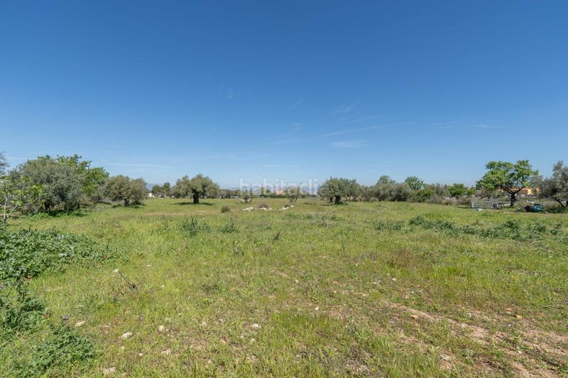 Foto 7f2cd9dd-cd27-4d81-ba63-f68678745ccb. Finca rústica a Villa de Otura