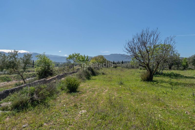 Foto cb15294c-136c-4eb2-b623-4f5b790a4c7b. Finca rústica a Villa de Otura