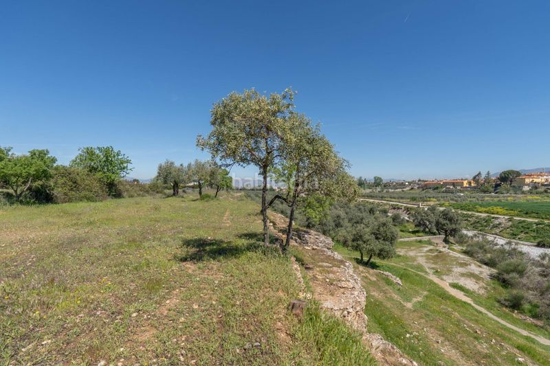 Foto ce7db654-0e06-4e1c-b5bb-ddd1b817106f. Finca rústica a Villa de Otura