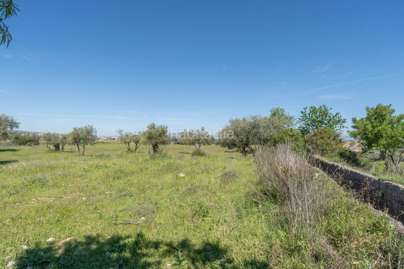 Foto de8e4c6b-c0dc-4888-a68c-f67bd6d5829a. Finca rústica a Villa de Otura