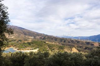 Rural plot in Pinar (El). Dos fincas rústicas juntas en venta en pinos del valle  valle de