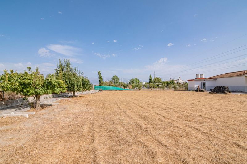 Foto f0f77b1c-2ed5-4ef6-8998-b1b78f837154. Masia a Bobadilla Granada