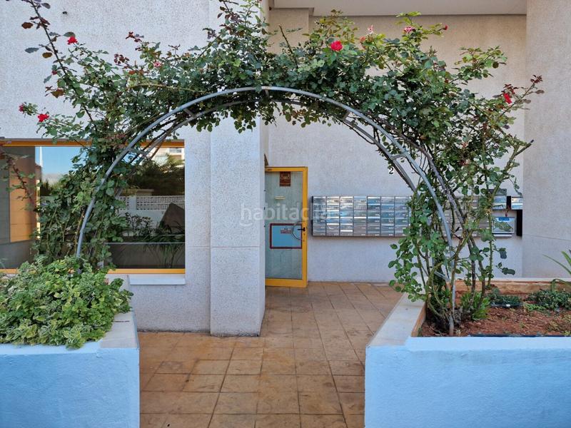 Foto 356b6418-a21f-417c-957f-f9ba15baecaa. Piccolo appartamento in avenida juan carlos i 50 in Calp
