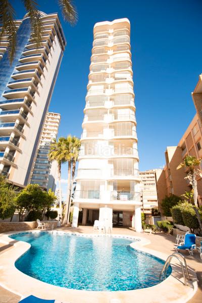 Foto 688e95d0-ea12-483b-b4dc-b32a118676c5. Piccolo appartamento con piscina in Playa Arenal - Bol Calp