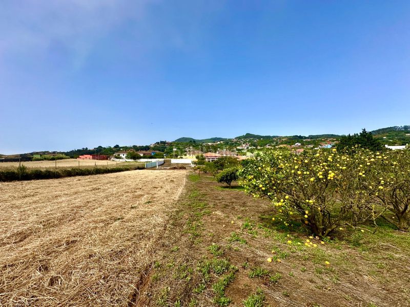 Foto a8e80e5d-bc88-4554-a604-b58b480ba1f5. Terreny residencial a La Esperanza - Llano del Moro Rosario (El)