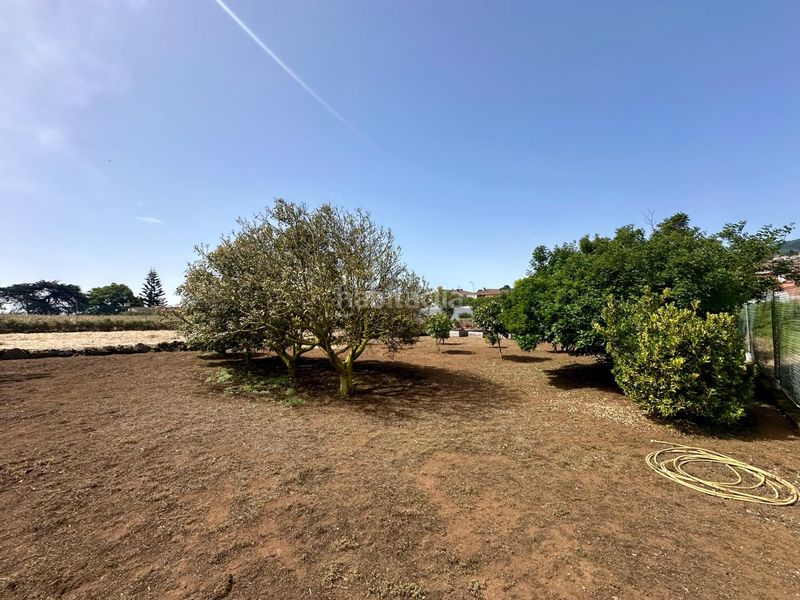 Foto d613b859-cc1f-4d64-99f0-e91e92dbe822. Terreny residencial a La Esperanza - Llano del Moro Rosario (El)