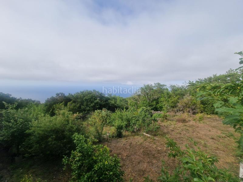 Foto 54bb06d3-959c-429b-9c2e-a8f7ceb0acd9. Country house with parking in La Vega - El Amparo - Cueva del Viento Icod de los Vinos