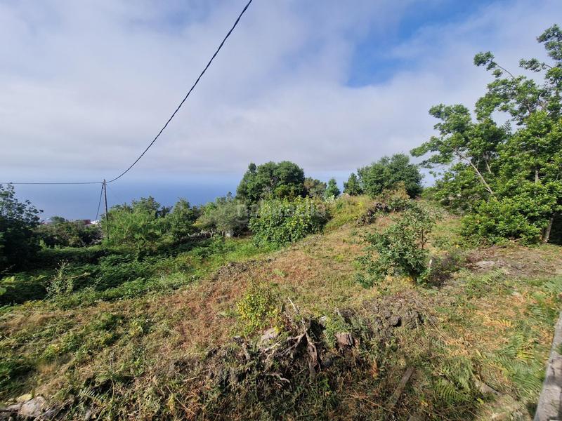 Foto c689cfd4-9d1d-4c2d-98ff-d9f5e0fd958c. Country house with parking in La Vega - El Amparo - Cueva del Viento Icod de los Vinos