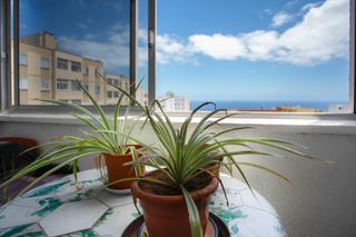 Pis en Csar Casariego - Santa Clara - Nuevo Obrero. Encantador apartamento en ofra con vistas al mar