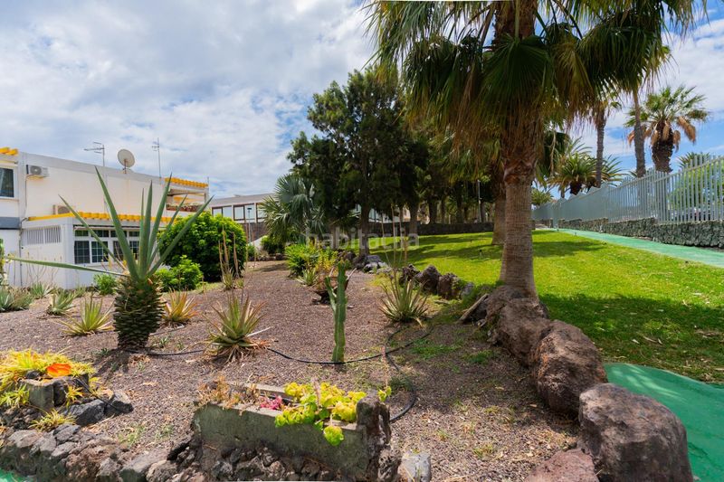 Foto 5ed4cd81-2916-4286-98d8-8293f2ff6b87. Apartament a calle hercules 4 a Costa del Silencio Arona