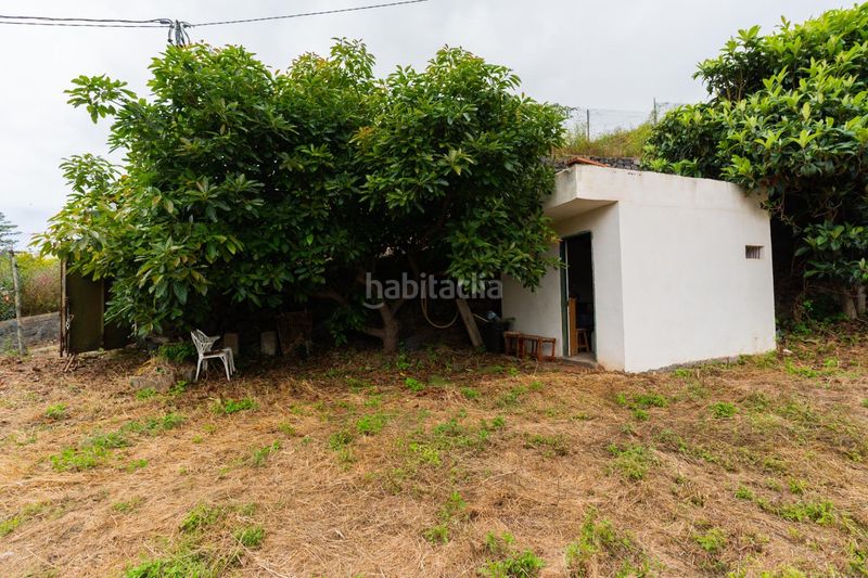 Foto 2a032818-9208-4dfd-9737-f86c80766d7f. Finca rústica a Las Cuevas - Los Gómez Orotava (La)