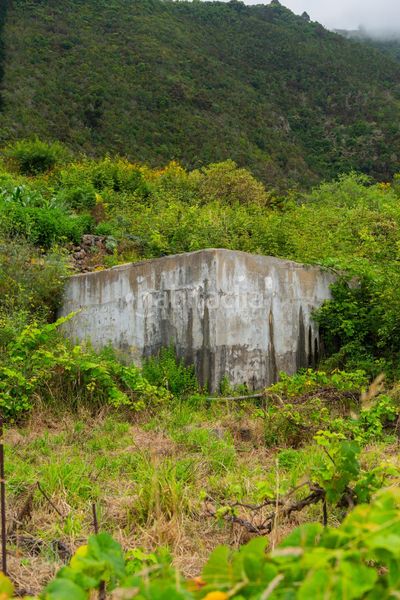 Foto 9df3fa1f-3464-4690-9c91-6a2d74277931. Finca rústica a Las Cuevas - Los Gómez Orotava (La)