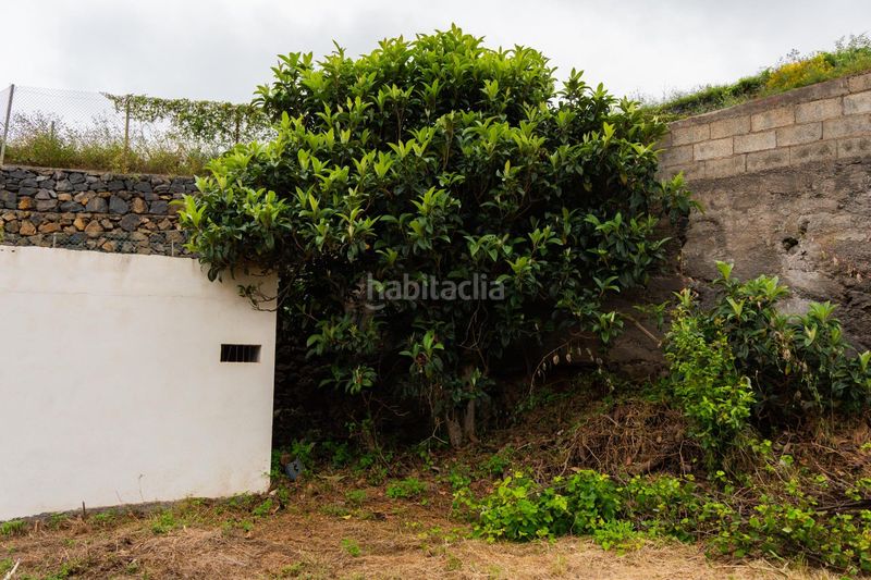 Foto b42352fb-d26f-493b-847c-dd1405731055. Finca rústica a Las Cuevas - Los Gómez Orotava (La)