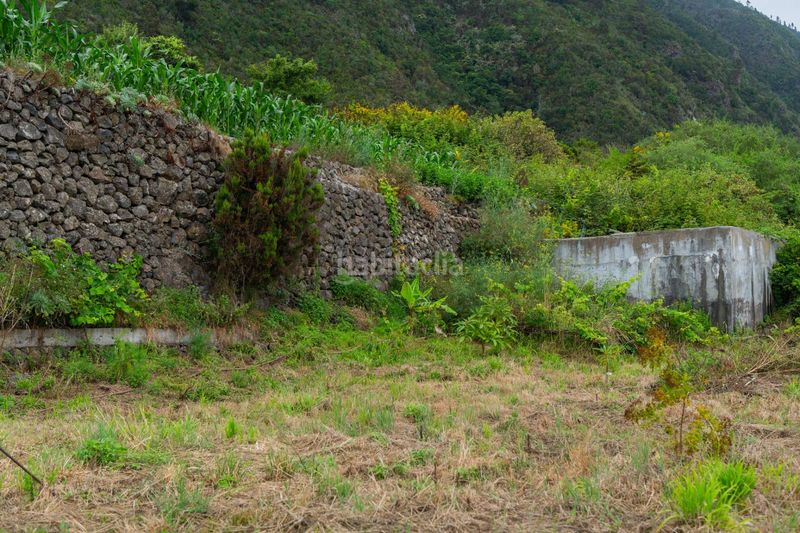Foto db81275e-085d-4741-8ad8-42cc5c458840. Finca rústica a Las Cuevas - Los Gómez Orotava (La)