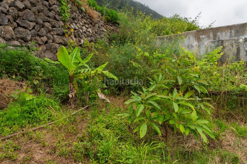 Foto e2f6a5a8-3f90-4330-a22a-430c93b2d1cc. Finca rústica a Las Cuevas - Los Gómez Orotava (La)