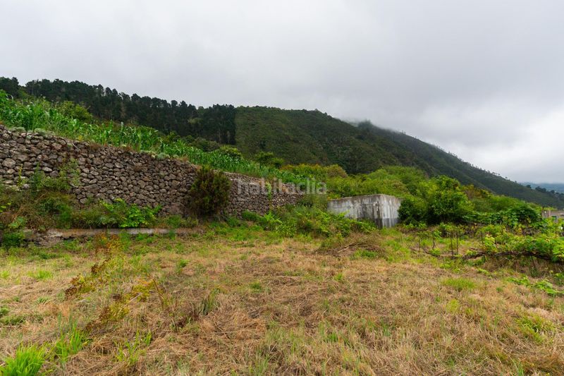 Foto e52ea9b6-199f-480b-8984-fc30e896f407. Finca rústica a Las Cuevas - Los Gómez Orotava (La)