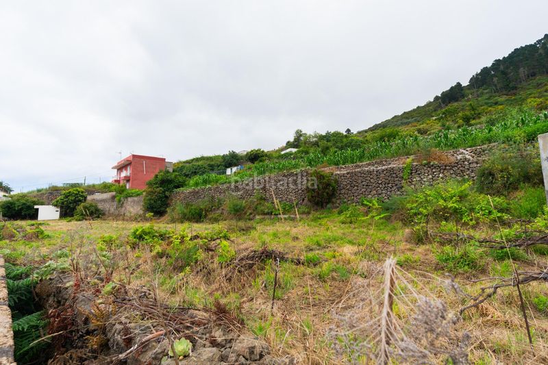 Foto e9536b1e-12ca-4b22-993b-02b58775721d. Finca rústica a Las Cuevas - Los Gómez Orotava (La)