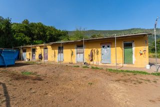 Finca rústica a Palo Blanco. Terreno rustico agrícola y de esparcimiento