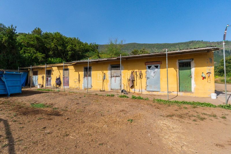 Foto 15597c43-184c-4068-bec5-4bb21545e267. Finca rústica a Palo Blanco Realejos (Los)
