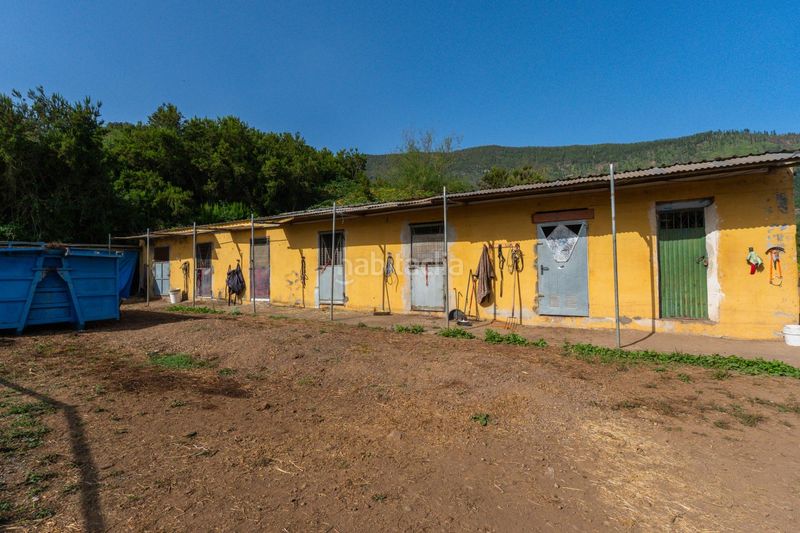 Foto aeb7b881-35b9-414c-8810-294e44b4aa15. Finca rústica a Palo Blanco Realejos (Los)