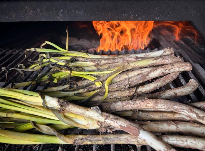 Foto 7dcd9ea5-c385-4b20-b908-c6efa02343c0. Country house with fireplace heating parking pool in Montcada i Reixac