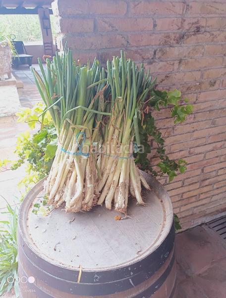 Foto f3b557ae-e683-4308-92c5-05ff91e6f011. Country house with fireplace heating parking pool in Montcada i Reixac