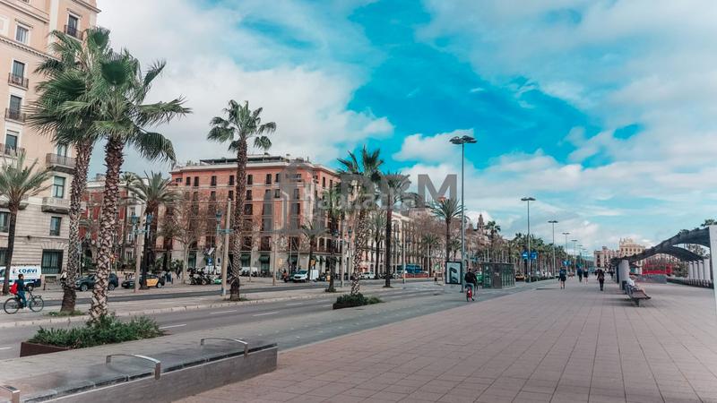 Foto c777f9ff-8398-4c63-87be-285b1f0784f0. Rent office space with heating in Gòtic Barcelona