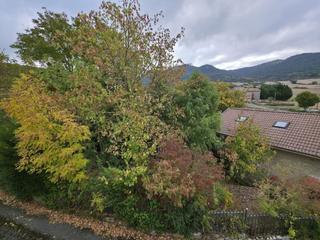 Chalet en Añana. Chalet en venta en valdegovia  carcamo, 4 dormitorios.