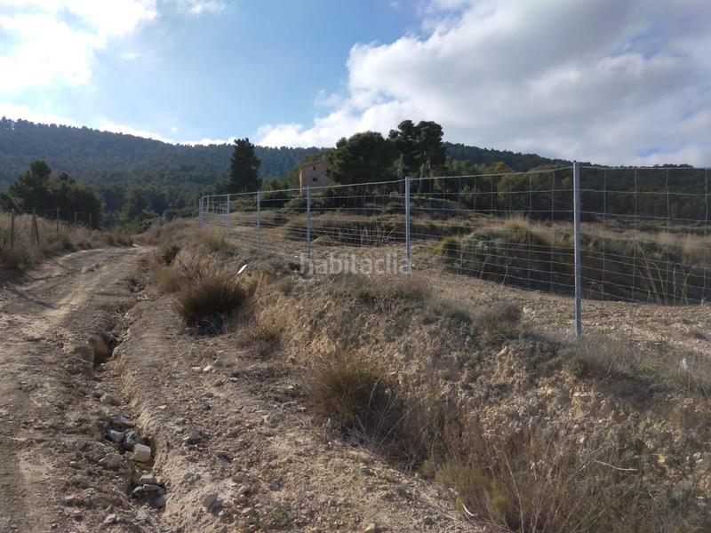 Foto a712de0e-8c67-4f8d-bf90-c7f90587123e. Fondo rustico in Mula