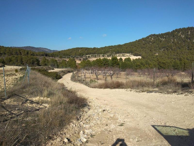 Foto b4b70e5e-d469-48ad-b551-5ae1f8df4c50. Fondo rustico in Mula