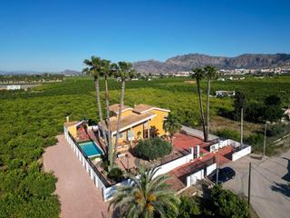 Chalet en Desamparados - Hurchillo - Torremendo. Exclusivo chalet en correntías medias orihuela con finca privada