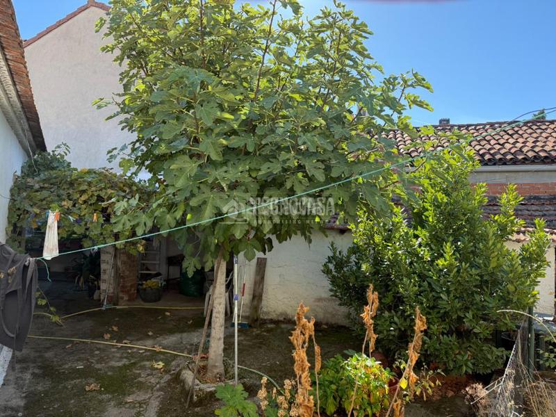 Foto 8de25a11-6cd7-4556-9e5d-b7408ceafc31. Casa aparellada amb calefacció aparcament a Fuente el Saz de Jarama