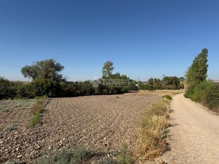 Finca rústica a Fuente el Saz de Jarama. Terrenos en venta en fuente el saz de jarama