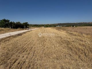 Finca rústica a Fuente el Saz de Jarama. Terrenos en venta en fuente el saz de jarama