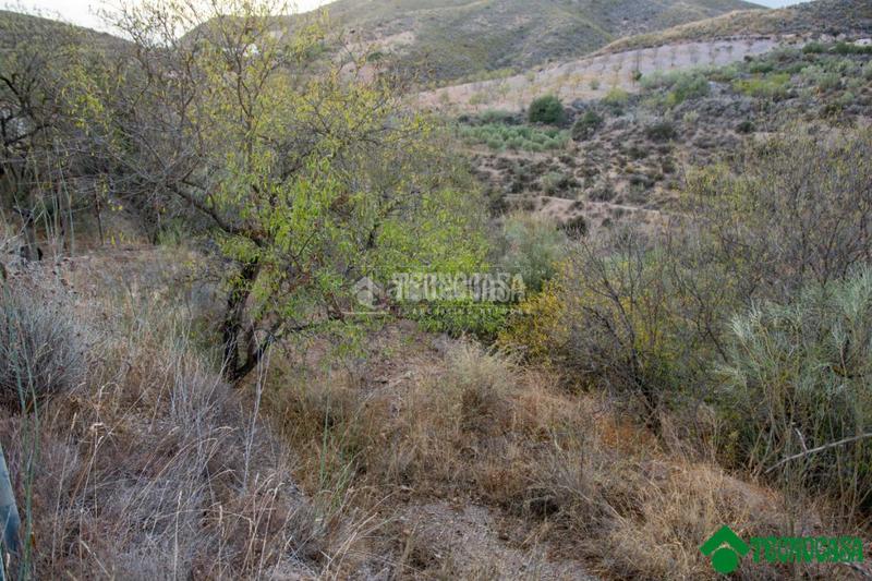 Foto 6c89849e-76ac-4fc1-a34d-9a1952153adb. Masia amb calefacció a Sorbas