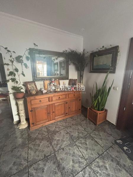 Foto b1fb7d75-2f62-4e28-8017-c29ae315fab5. Pis a Trebujena