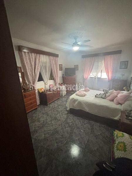 Foto d6dd1197-fdb1-4758-9ed0-7f14aca888a7. Pis a Trebujena