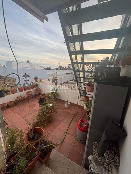 Foto f3700e67-58f1-4dc8-9b4e-771525ced1ab. Pis a Trebujena