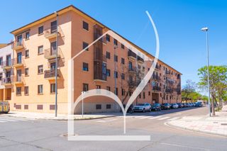 Pis a Paseo César Real de la Riva