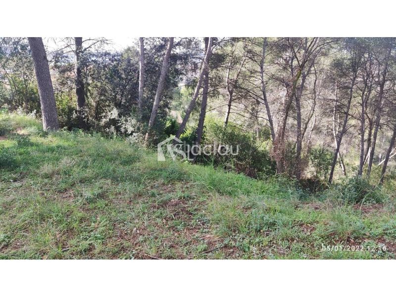 Foto 9572b858-dc64-47ad-81ce-10cb4aae921f. Terreny residencial a Abrera