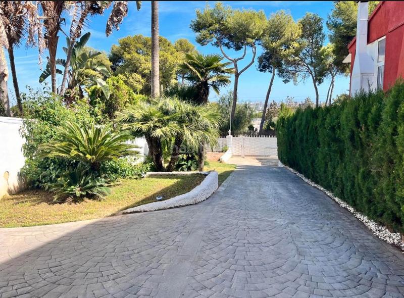 Foto dc101beb-161e-45a4-8aaf-26a0a769abfc. Location chalet dans Zona Avenida al Vedat Torrent