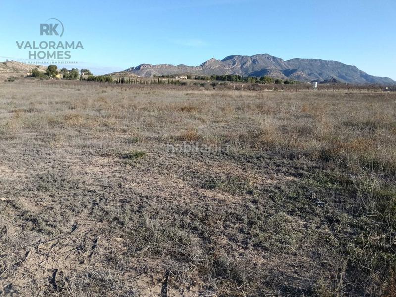 Foto 0b680447-6b62-4bd6-b0d8-9d0c61b490e3. Terreny residencial a Ricote