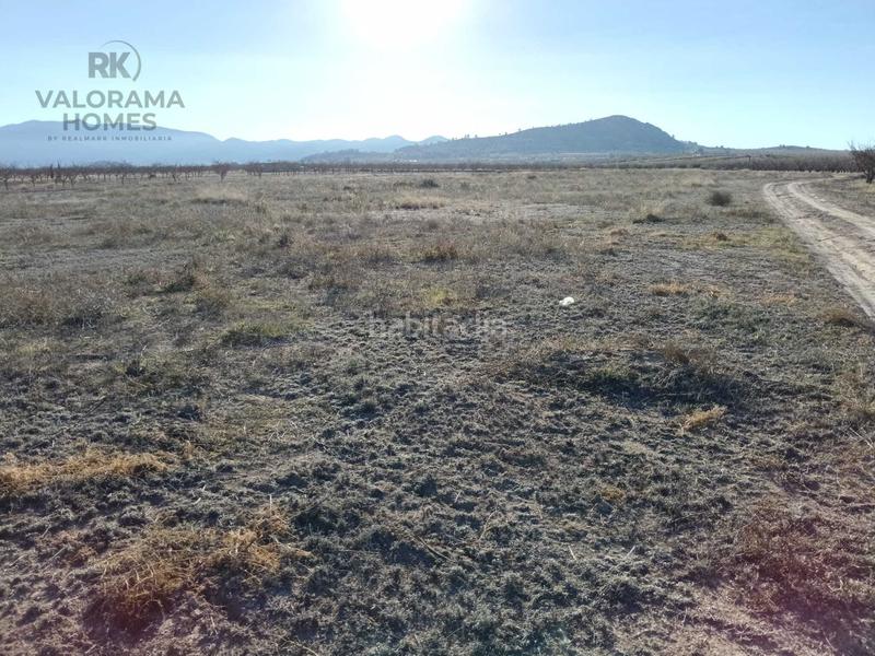 Foto 493ea5de-36b4-443a-9f23-52c3796522a7. Terreny residencial a Ricote