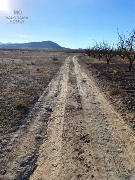 Foto 590a2e31-bff3-4bbc-8bd8-b1e7d279ece0. Terreny residencial a Ricote